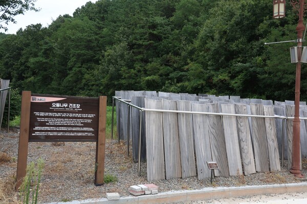오동나무 건조장